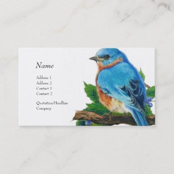 Profile Card - Bluebird by pawtraitart at Zazzle