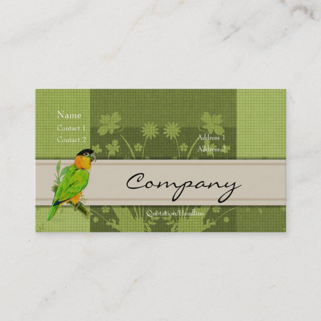 Profile Card - Caique Parrot (Front)