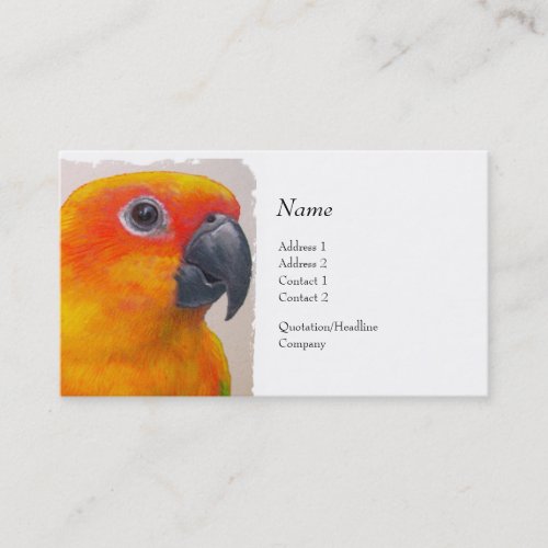 Profile Card - Sun Conure Business Card