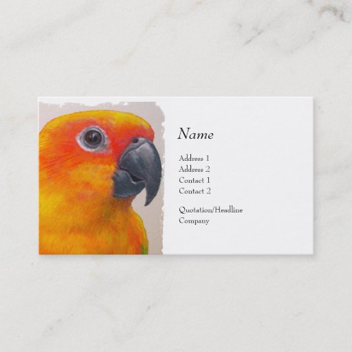 Customizable Profile Card - Sun Conure Business Card
