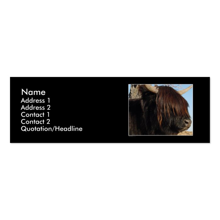 Profile Card Template   Highland Cattle Business Card Templates