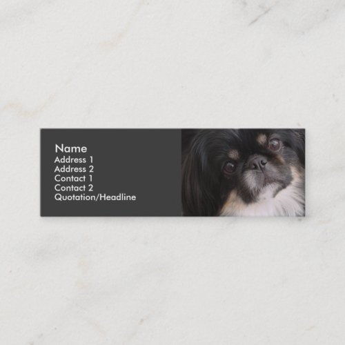 Profile Card Template - Pekingnese Dog Business Cards