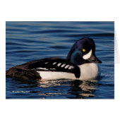 Profile of a Barrow's Goldeneye (Front Horizontal)