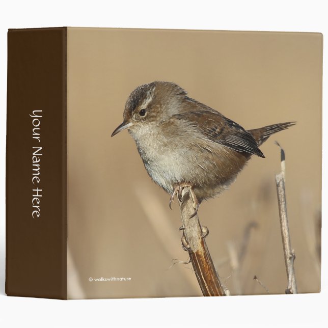 Profile of a Beautiful Marsh Wren 3 Ring Binder (Front/Spine)