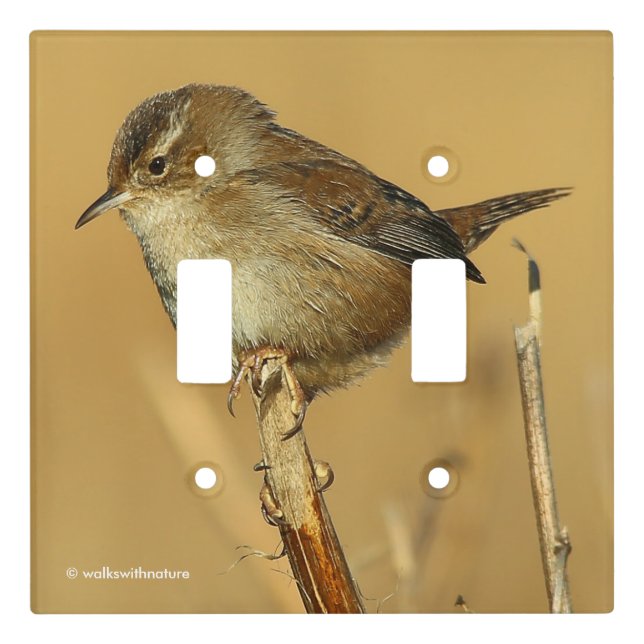 Profile of a Beautiful Marsh Wren Light Switch Cover (Front)