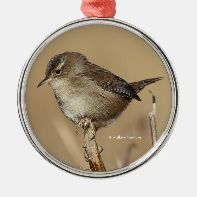 Profile of a Beautiful Marsh Wren Metal Ornament (Front)