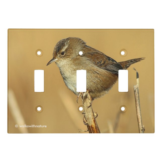 Profile of a Beautiful Marsh Wren Songbird Light Switch Cover (Front)
