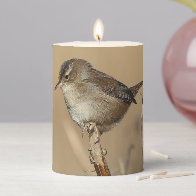 Profile of a Beautiful Marsh Wren Songbird Pillar Candle (In Situ)
