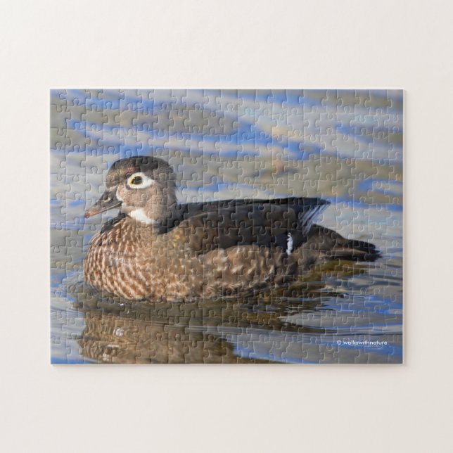 Profile of a Beautiful Wood Duck on the Water Jigsaw Puzzle (Horizontal)