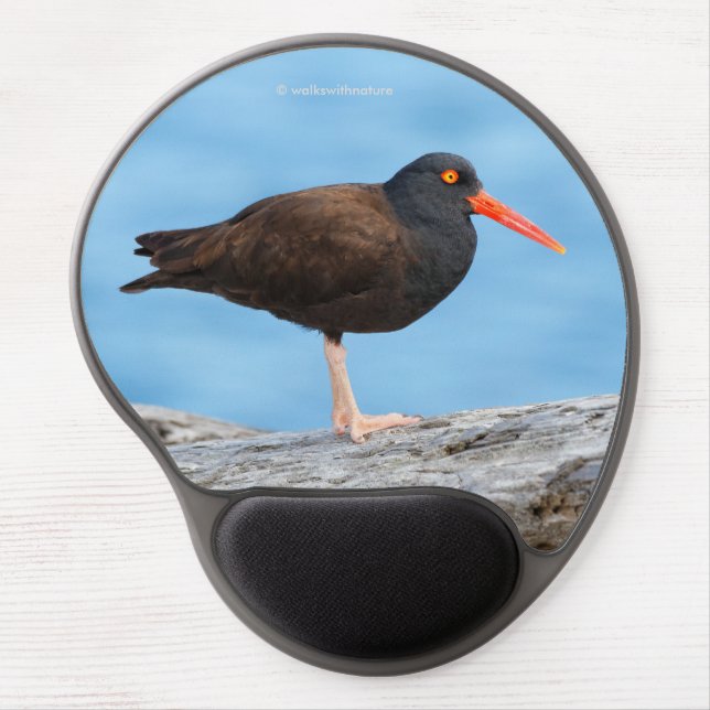 Profile of a Black Oystercatcher Gel Mouse Pad (Front)
