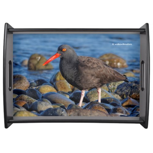 Profile of a Black Oystercatcher Serving Tray