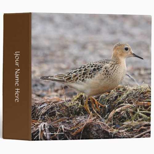 Profile of a Buff_Breasted Sandpiper at the Beach 3 Ring Binder