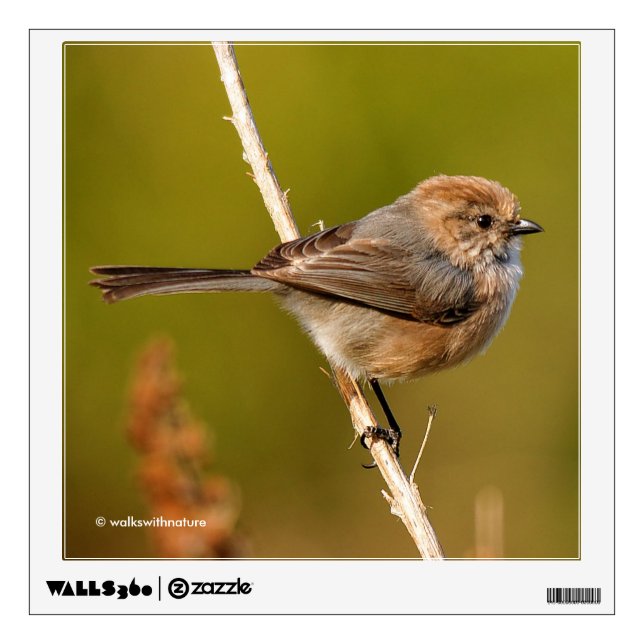 Profile of a Bushtit Wall Decal (Front)