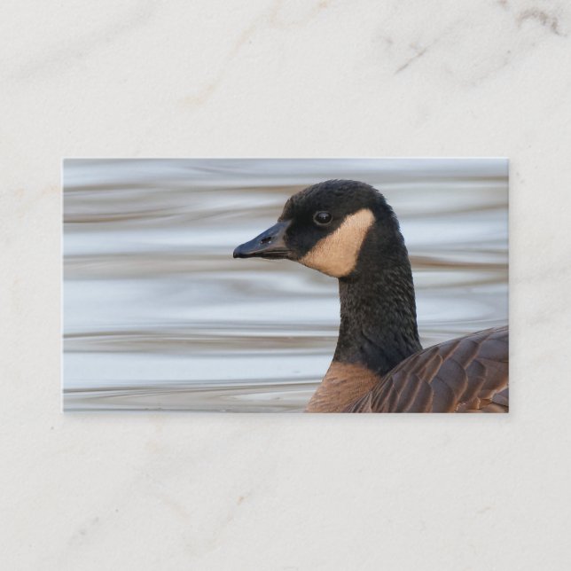 Profile of a Cackling Goose Business Card (Front)