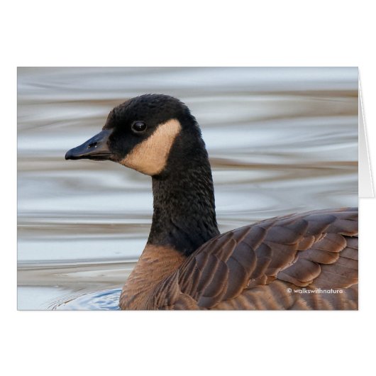 Profile of a Cackling Goose Cards (Front Horizontal)