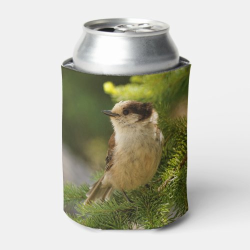 Profile of a Cute Grey Jay  Whiskeyjack Can Cooler