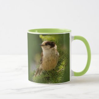 Profile of a Cute Grey Jay / Whiskeyjack Mug