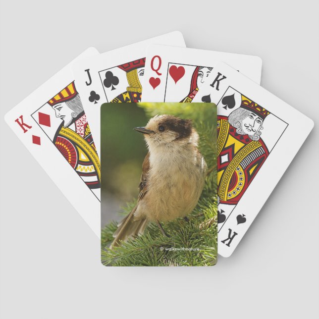 Profile of a Cute Grey Jay Whiskeyjack Poker Cards (Back)