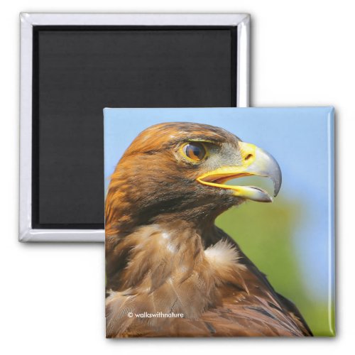 Profile of a Golden Eagle in the Summer Sun Magnet