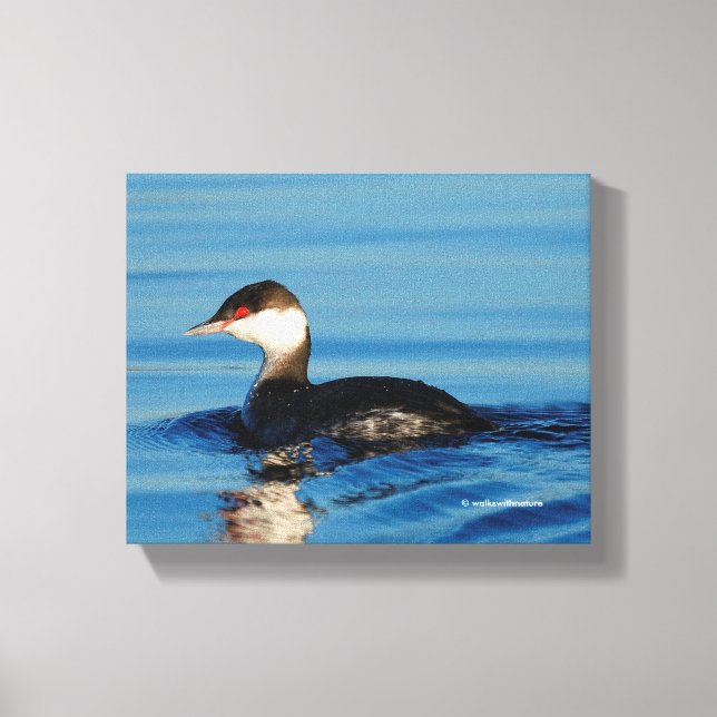 Profile of a Horned Grebe Canvas Print (Front)