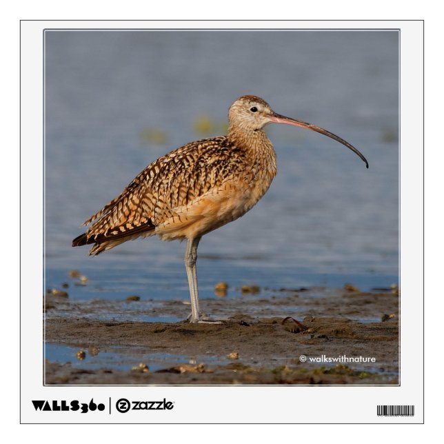 Profile of a Long-Billed Curlew Wall Sticker (Front)
