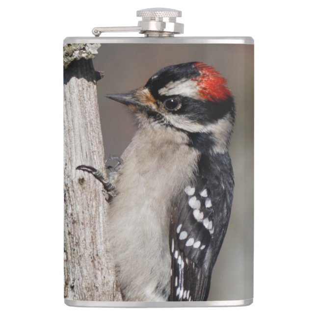 Profile of a Male Downy Woodpecker Flask (Front)