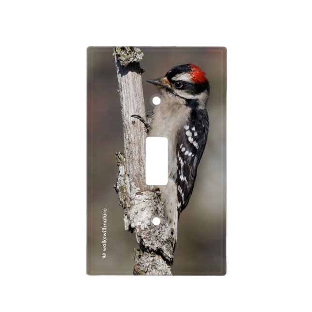 Profile of a Male Downy Woodpecker Light Switch Cover (Front)
