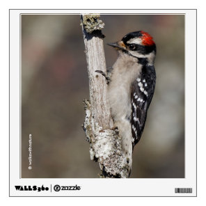 Profile of a Male Downy Woodpecker Wall Decal