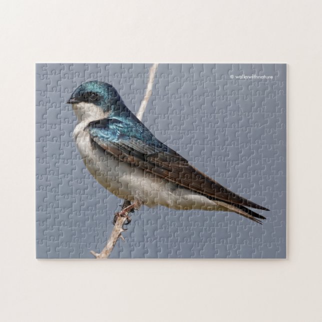 Profile of a Male Tree Swallow in the Sun Jigsaw Puzzle (Horizontal)