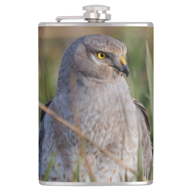 Profile of a Northern Harrier Flask (Front)
