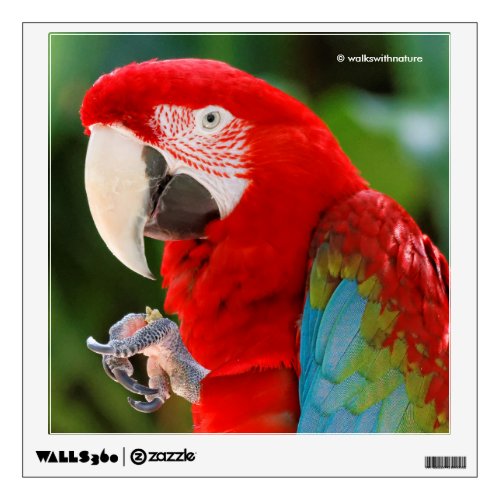 Profile of a Pretty Green_Winged Macaw Wall Sticker