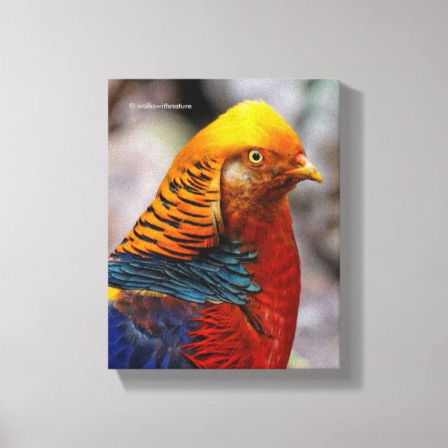 Profile of a Red Golden Pheasant Canvas Print (Front)