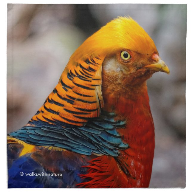 Profile of a Red Golden Pheasant Napkin (Front)