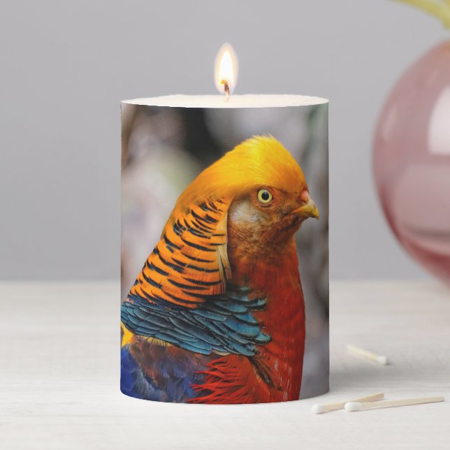Profile of a Red Golden Pheasant Pillar Candle (In Situ)