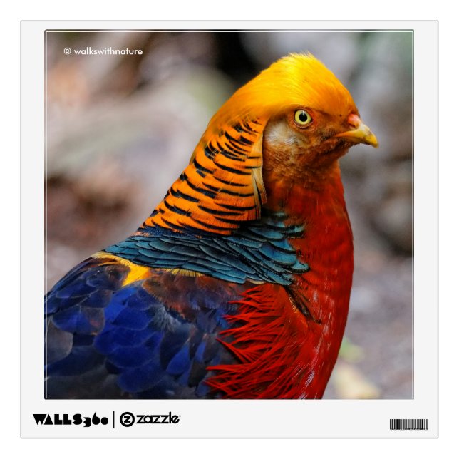 Profile of a Red Golden Pheasant Wall Decal (Front)