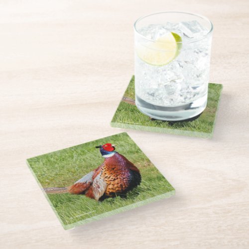 Profile of a Ring_Necked Pheasant Glass Coaster