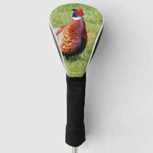 Profile of a Ring-Necked Pheasant Golf Head Cover