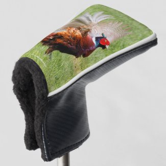 Profile of a Ring-Necked Pheasant