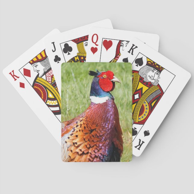 Profile of a Ring-Necked Pheasant Poker Cards (Back)