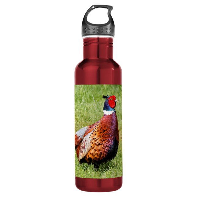 Profile of a Ring-Necked Pheasant Stainless Steel Water Bottle (Front)