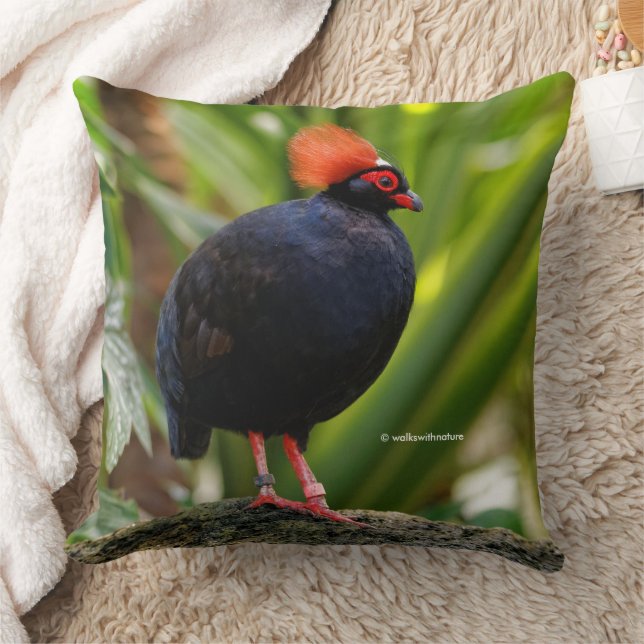 Profile of a Roul-Roul Crested Wood Partridge Throw Pillow (Blanket)