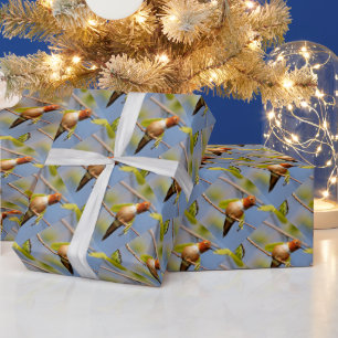 Profile of a Rufous Hummingbird Wrapping Paper