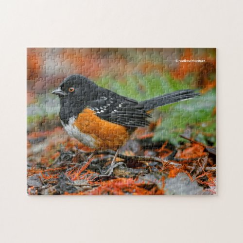 Profile of a Spotted Towhee Jigsaw Puzzle