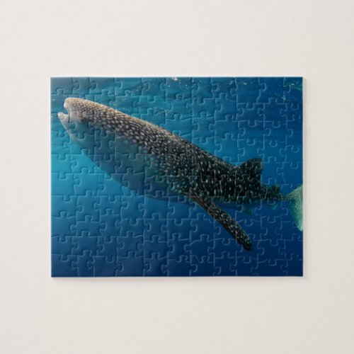 Profile of a whale shark Indonesia Jigsaw Puzzle