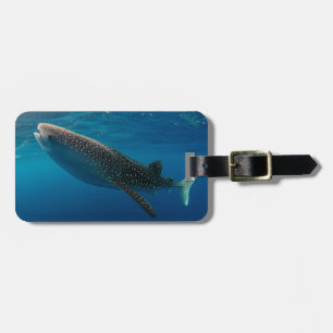 Profile of a whale shark, Indonesia Luggage Tag