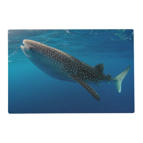 Profile of a whale shark Indonesia Placemat