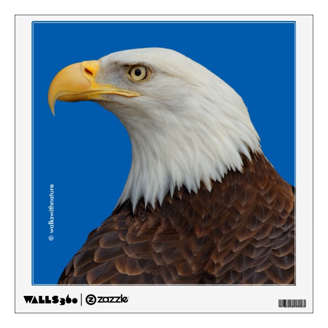 Profile of an Adult Bald Eagle Wall Sticker (Front)