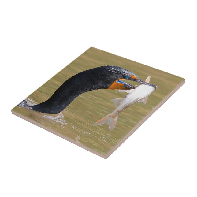 Profile of an Adult Double-Crested Cormorant Ceramic Tile (Side)