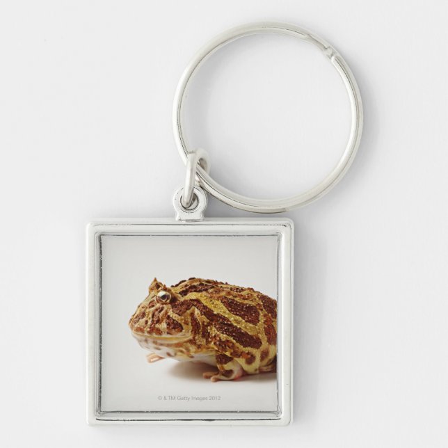 Profile of Argentine Horned Frog Keychain (Front)