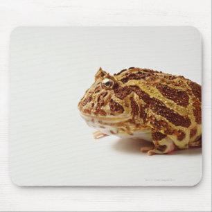 Profile of Argentine Horned Frog Mouse Pad